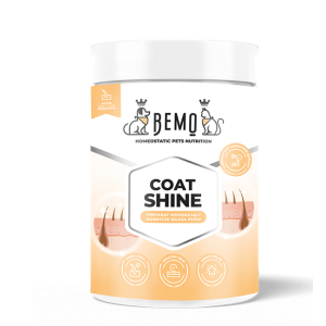 Bemo Coat Shine
